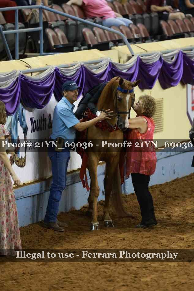 Proof Number 21YN_69036