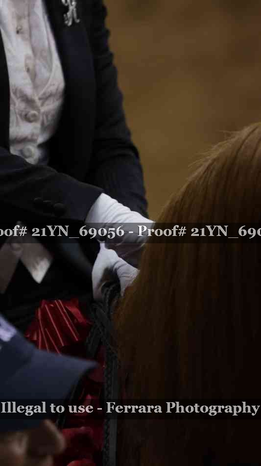 Proof Number 21YN_69056