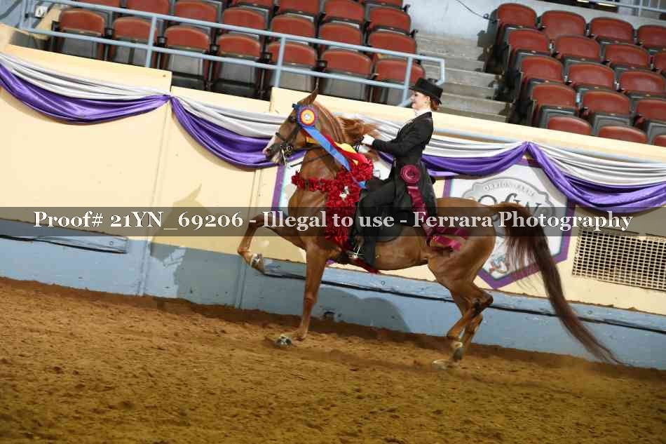 Proof Number 21YN_69206