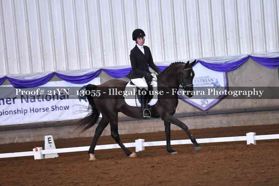 Proof Number 21YN_13055