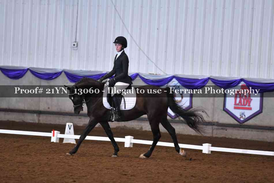 Proof Number 21YN_13060