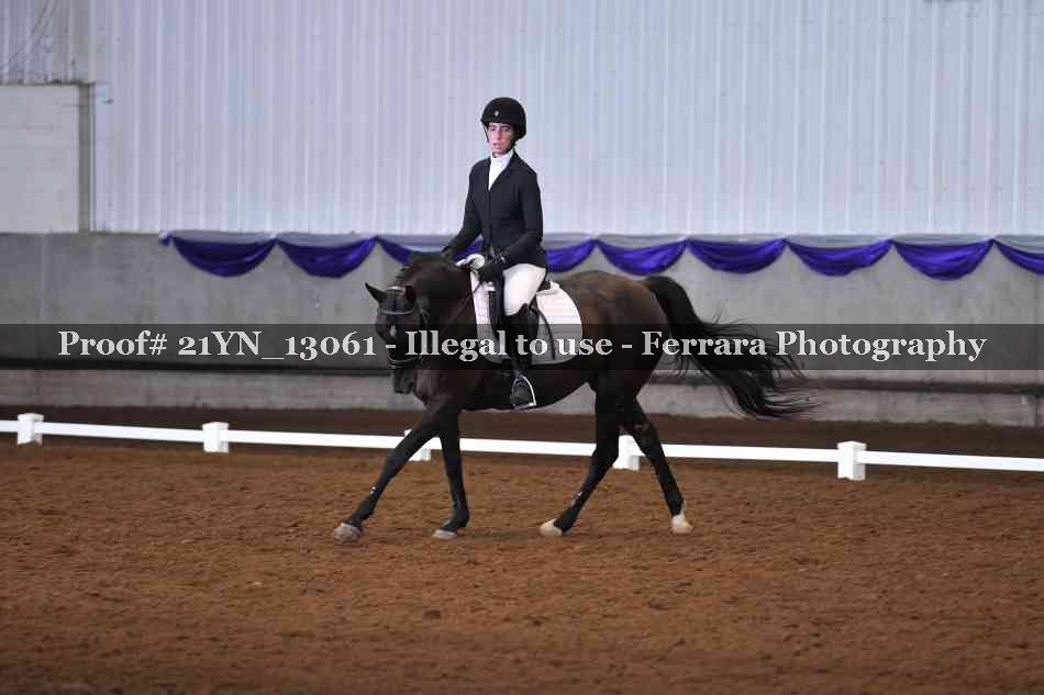 Proof Number 21YN_13061