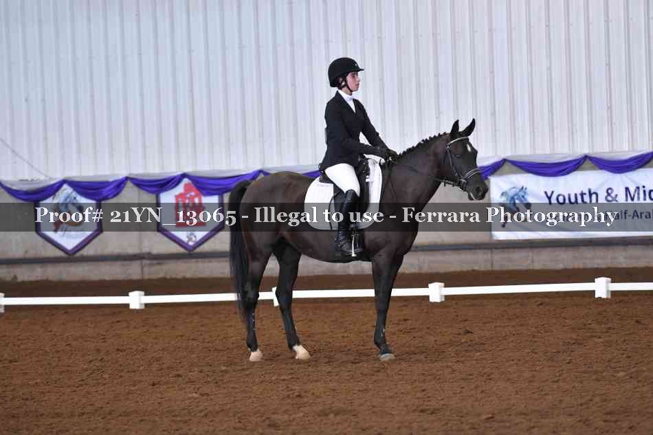 Proof Number 21YN_13065