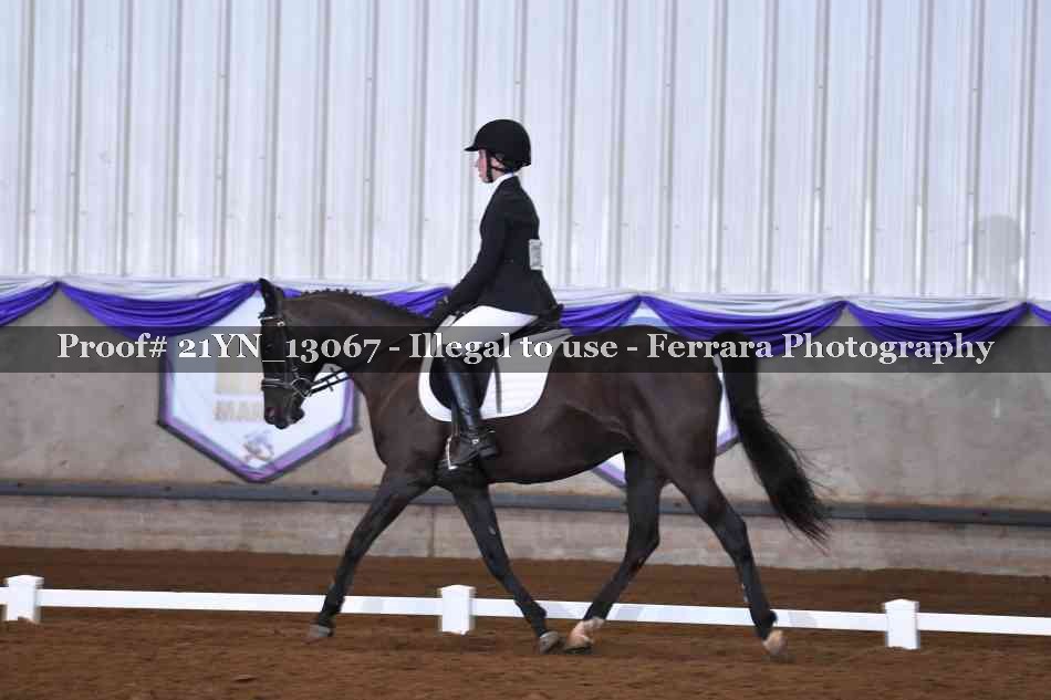 Proof Number 21YN_13067