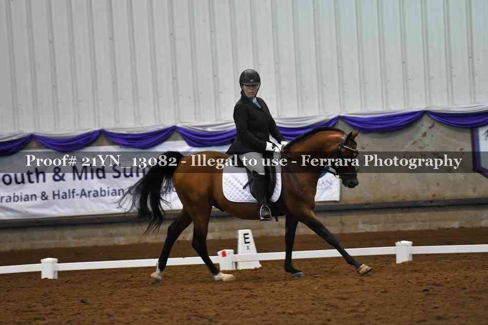 Proof Number 21YN_13082