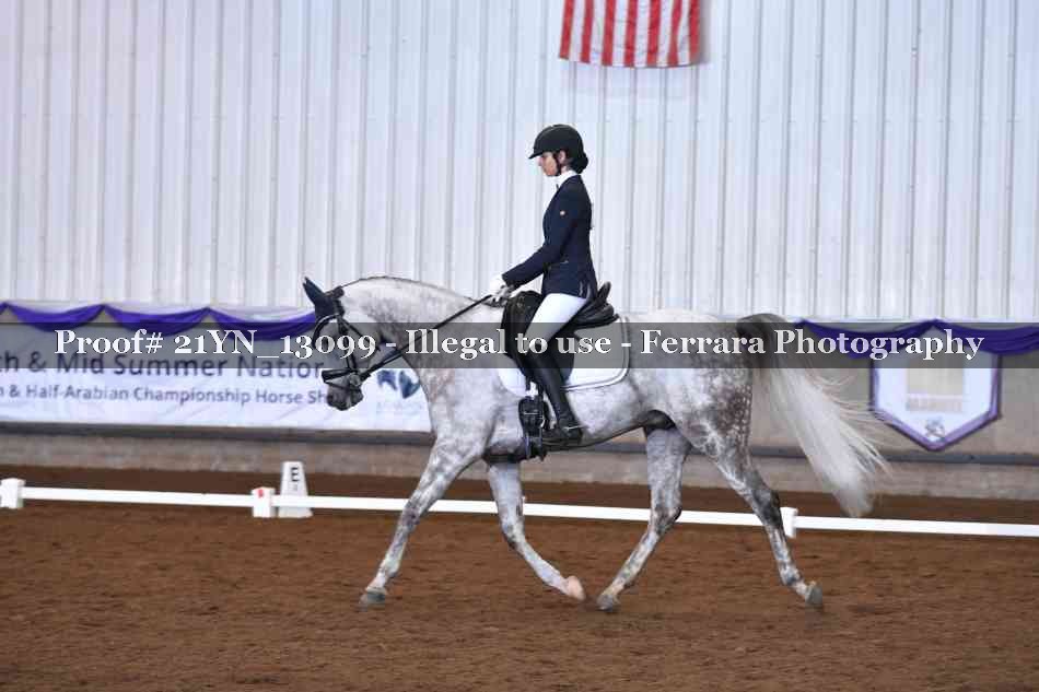 Proof Number 21YN_13099