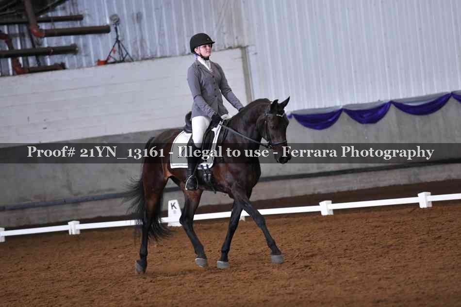 Proof Number 21YN_13161