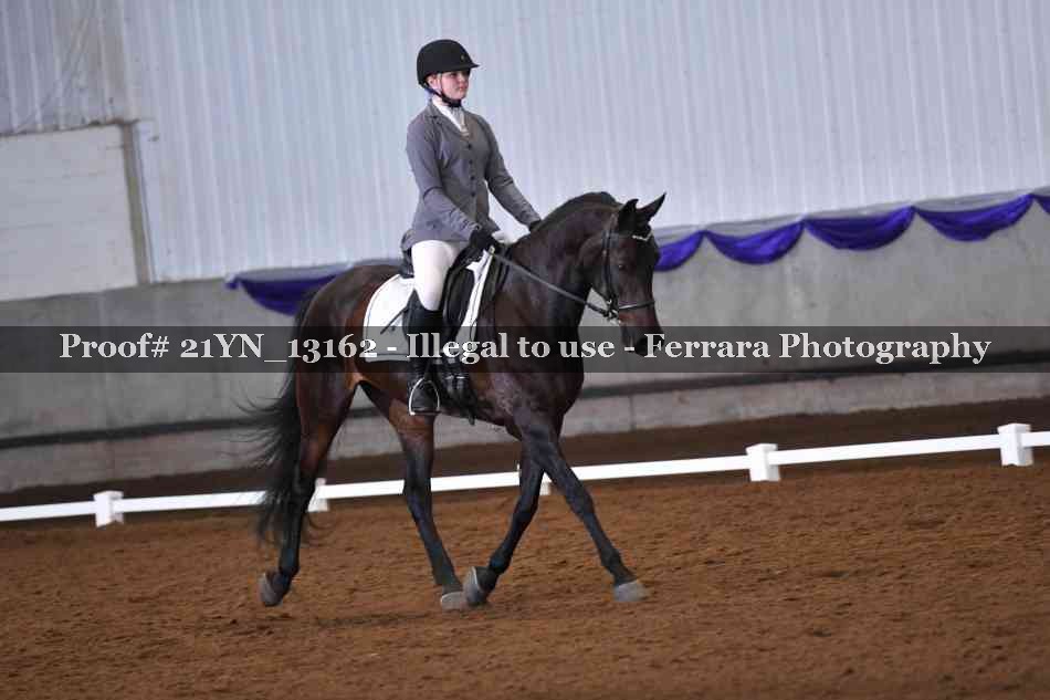 Proof Number 21YN_13162