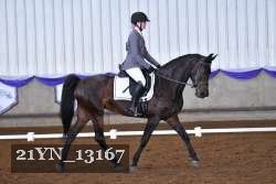 21YN_13167 thumbnail