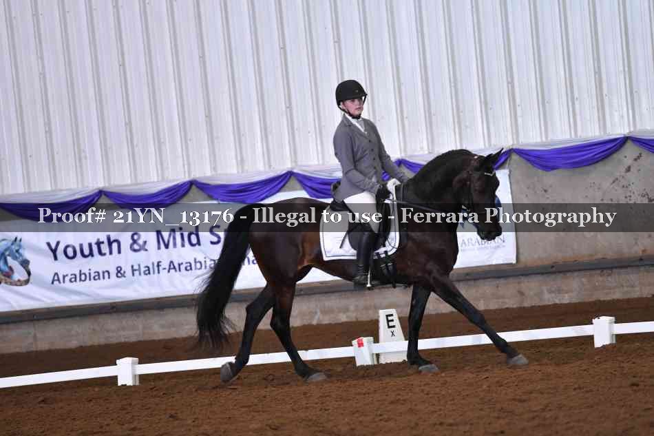 Proof Number 21YN_13176