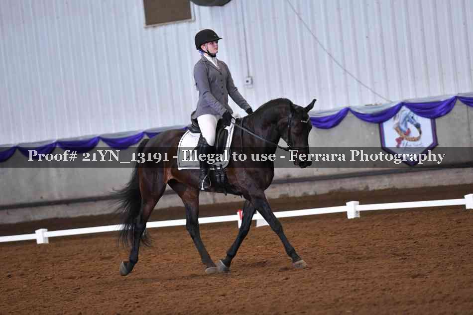 Proof Number 21YN_13191