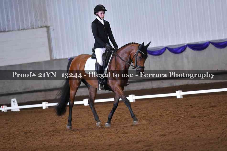 Proof Number 21YN_13244