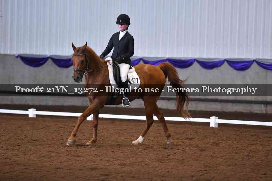 Proof Number 21YN_13272
