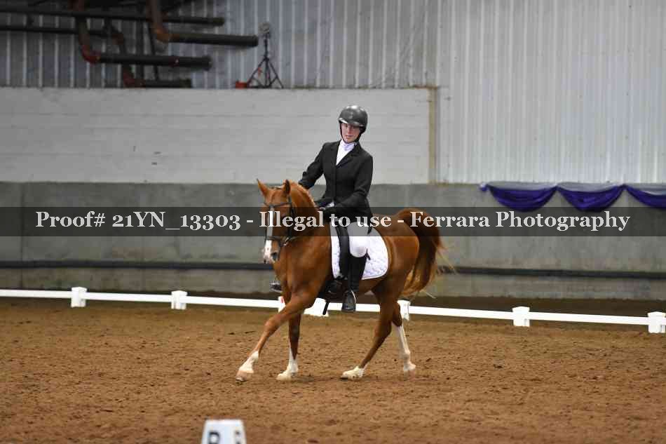 Proof Number 21YN_13303