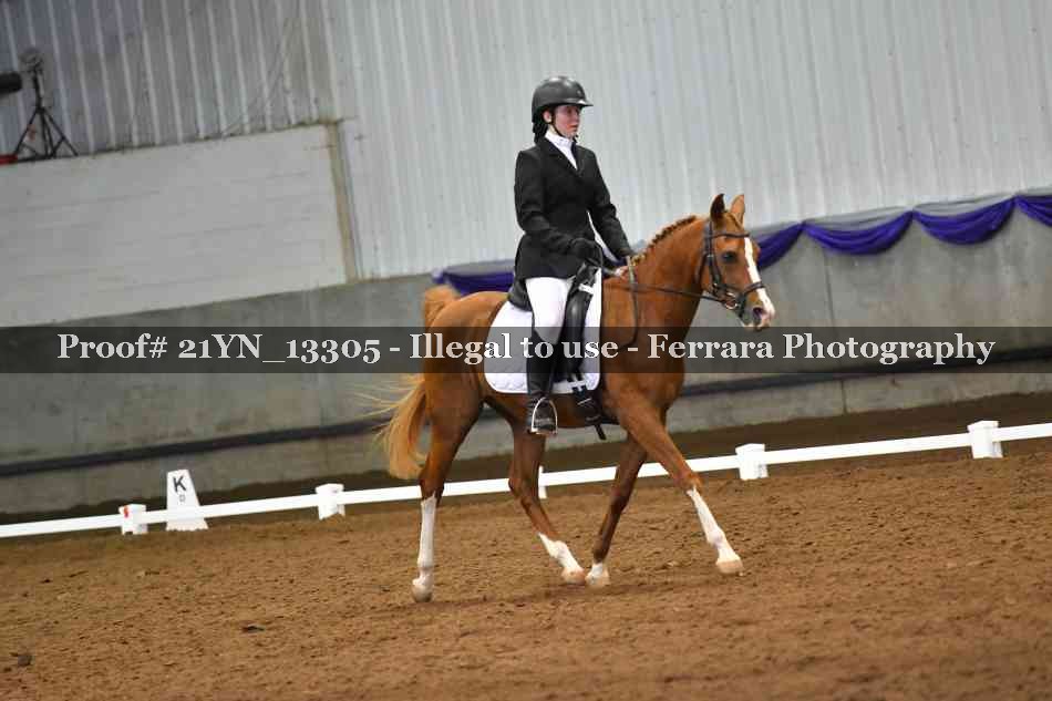 Proof Number 21YN_13305