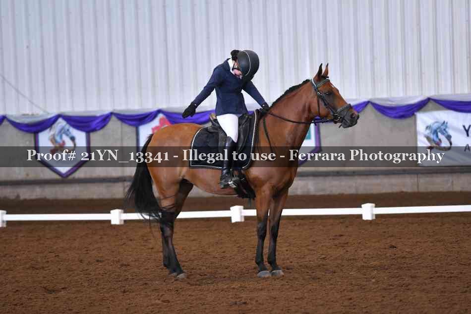 Proof Number 21YN_13341