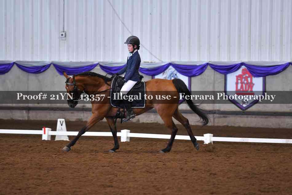 Proof Number 21YN_13357