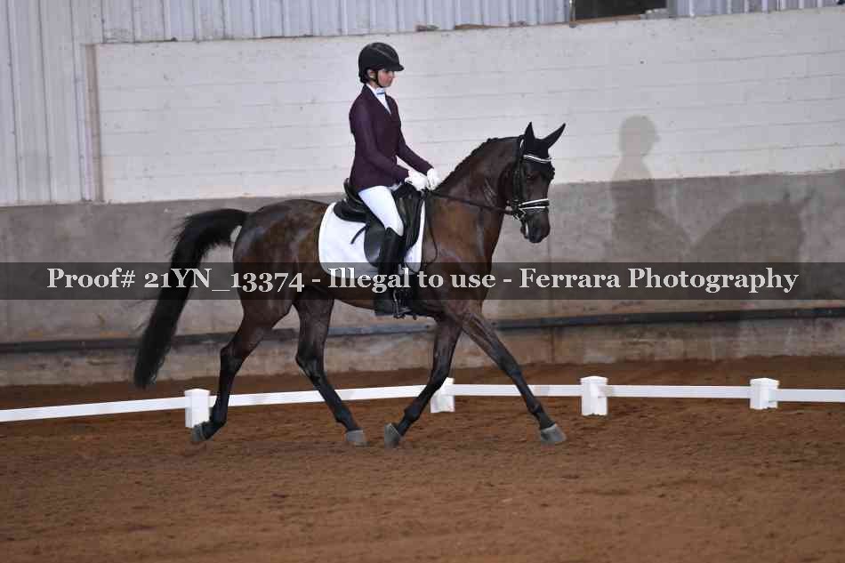 Proof Number 21YN_13374