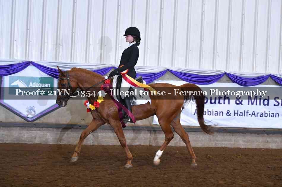 Proof Number 21YN_13544