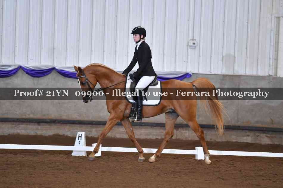 Proof Number 21YN_09900