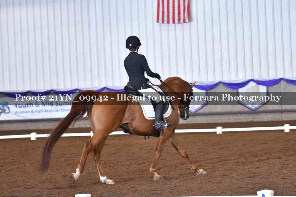 Proof Number 21YN_09942