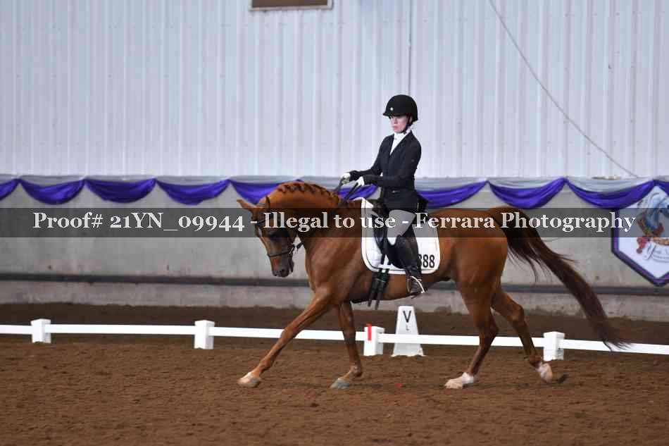 Proof Number 21YN_09944