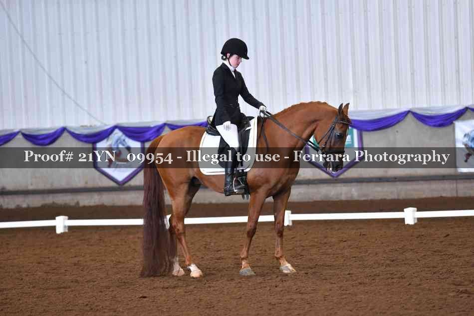 Proof Number 21YN_09954