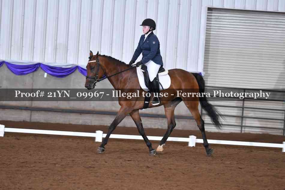 Proof Number 21YN_09967