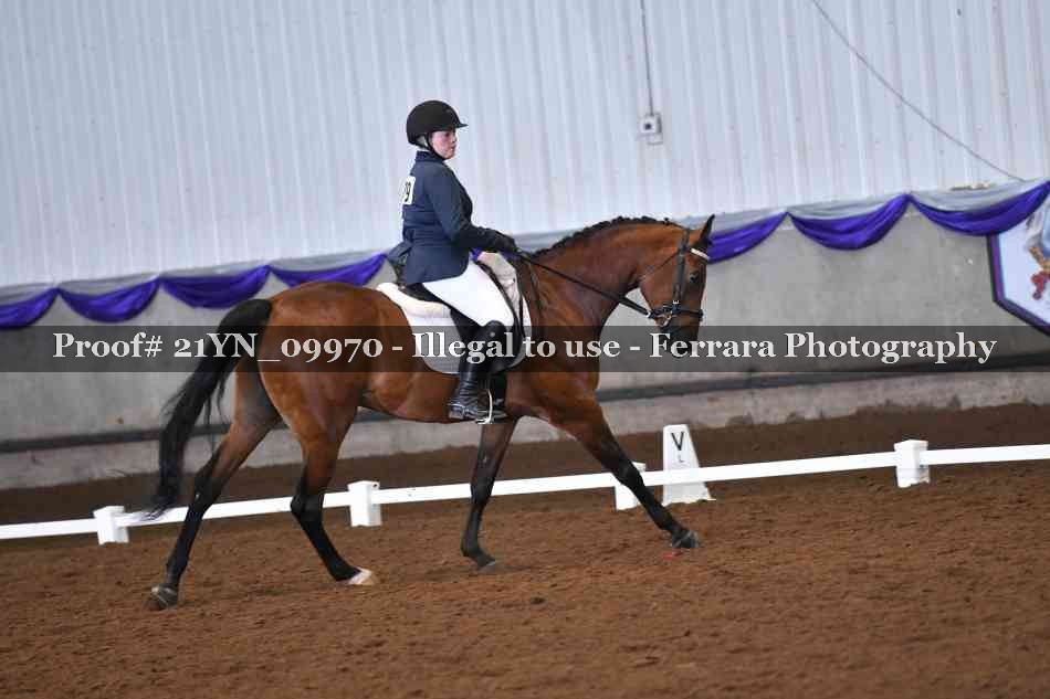 Proof Number 21YN_09970