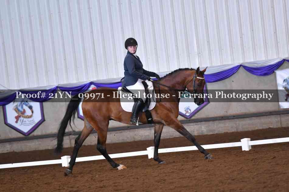 Proof Number 21YN_09971
