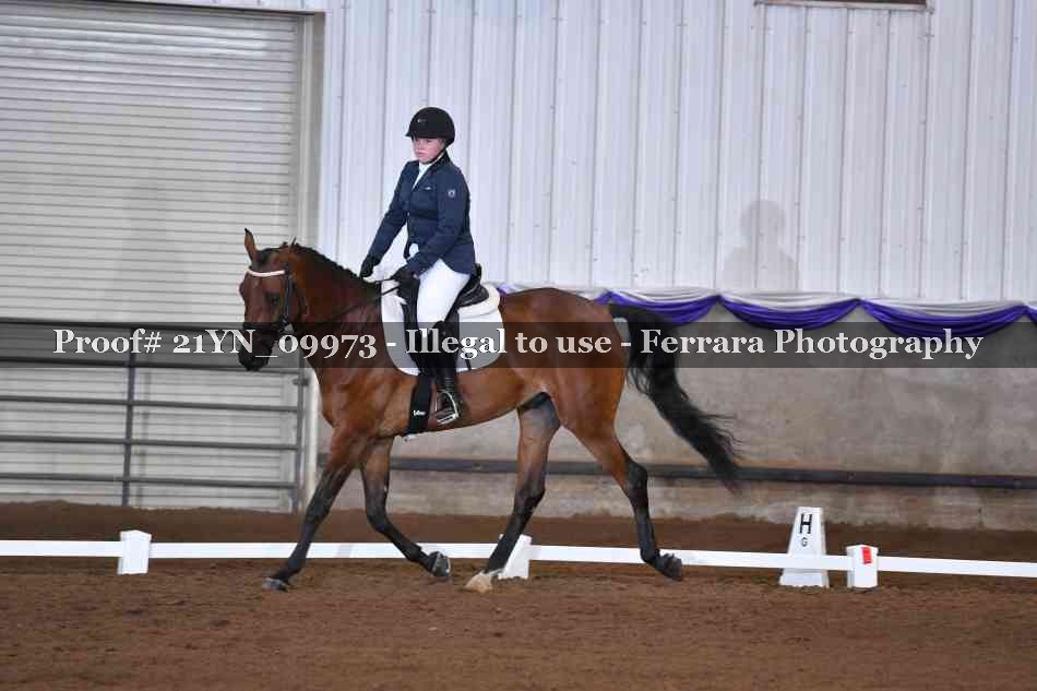 Proof Number 21YN_09973