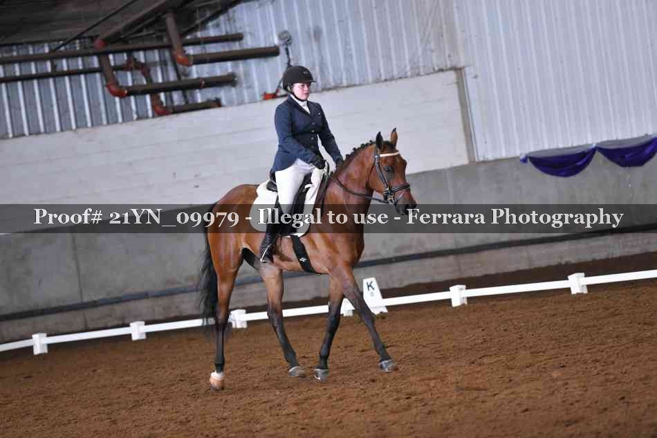 Proof Number 21YN_09979