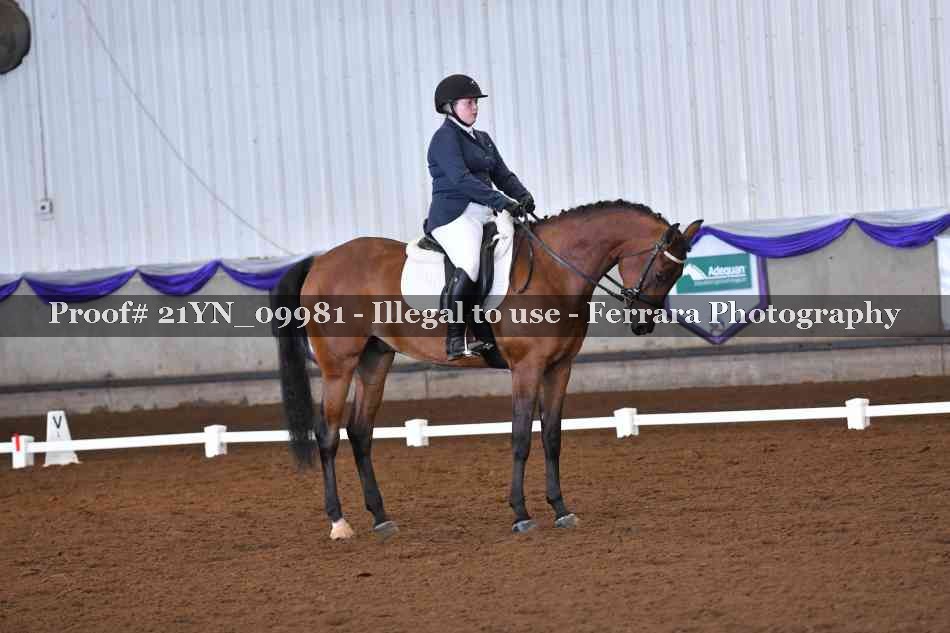 Proof Number 21YN_09981
