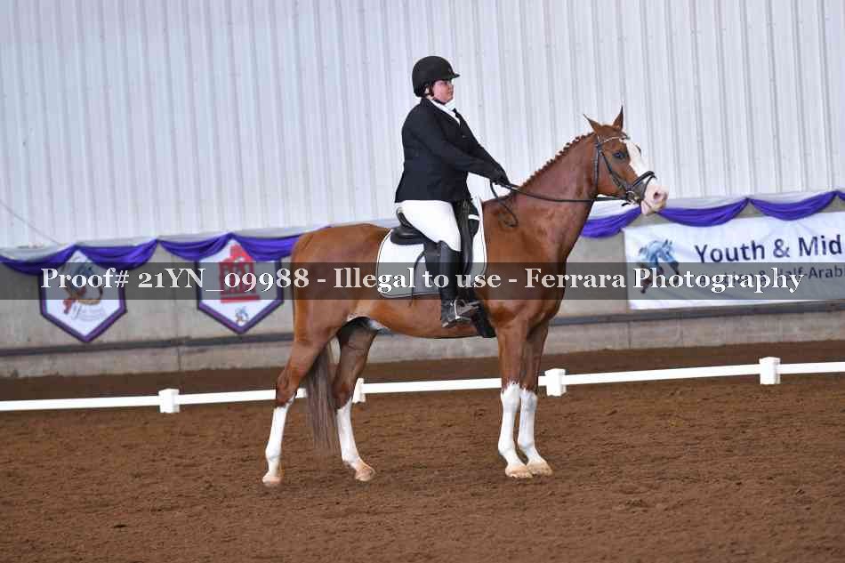 Proof Number 21YN_09988