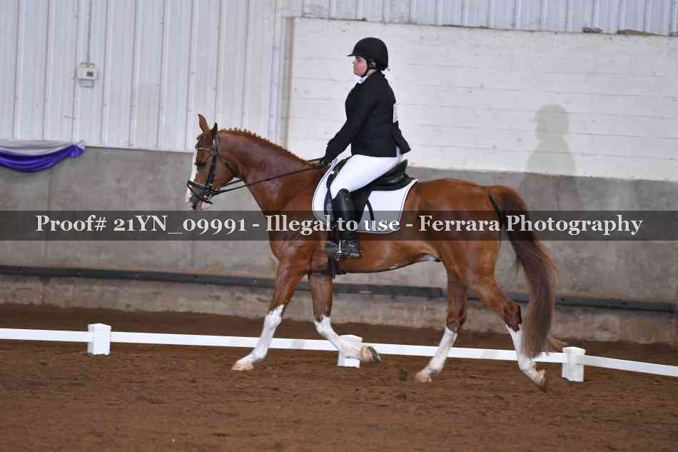 Proof Number 21YN_09991
