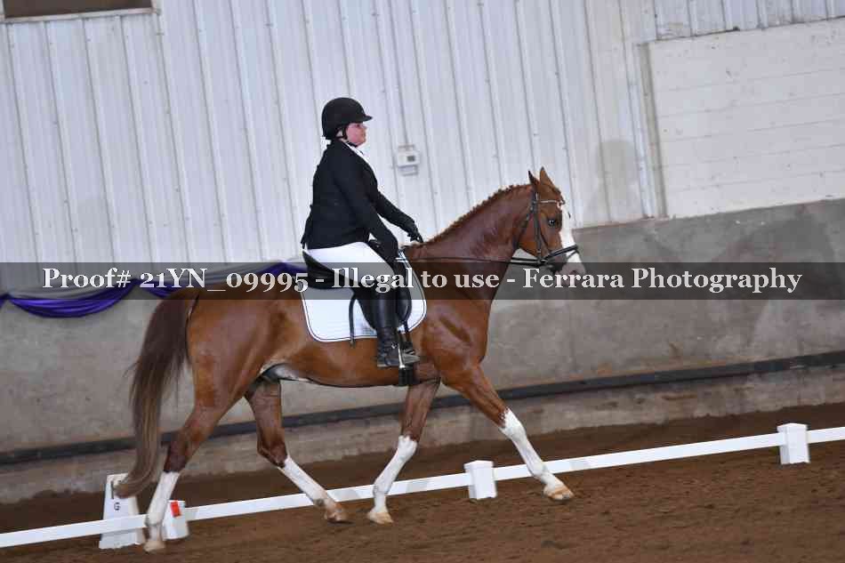 Proof Number 21YN_09995