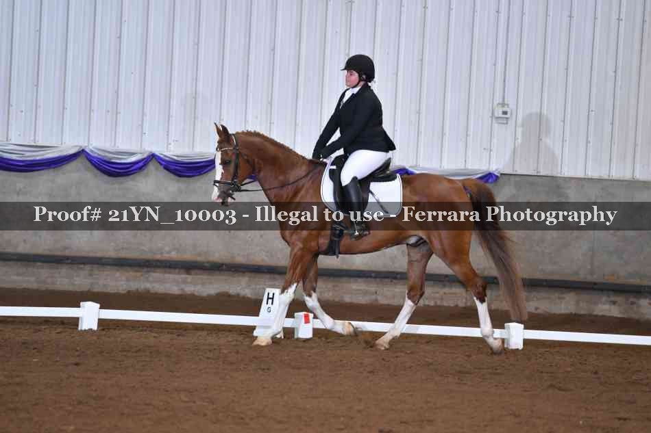 Proof Number 21YN_10003