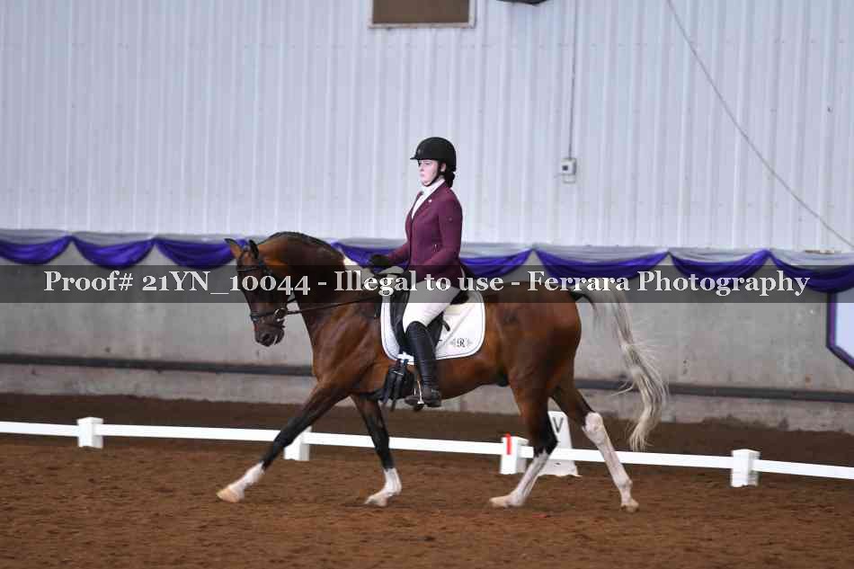 Proof Number 21YN_10044