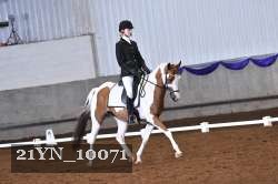 21YN_10071 thumbnail