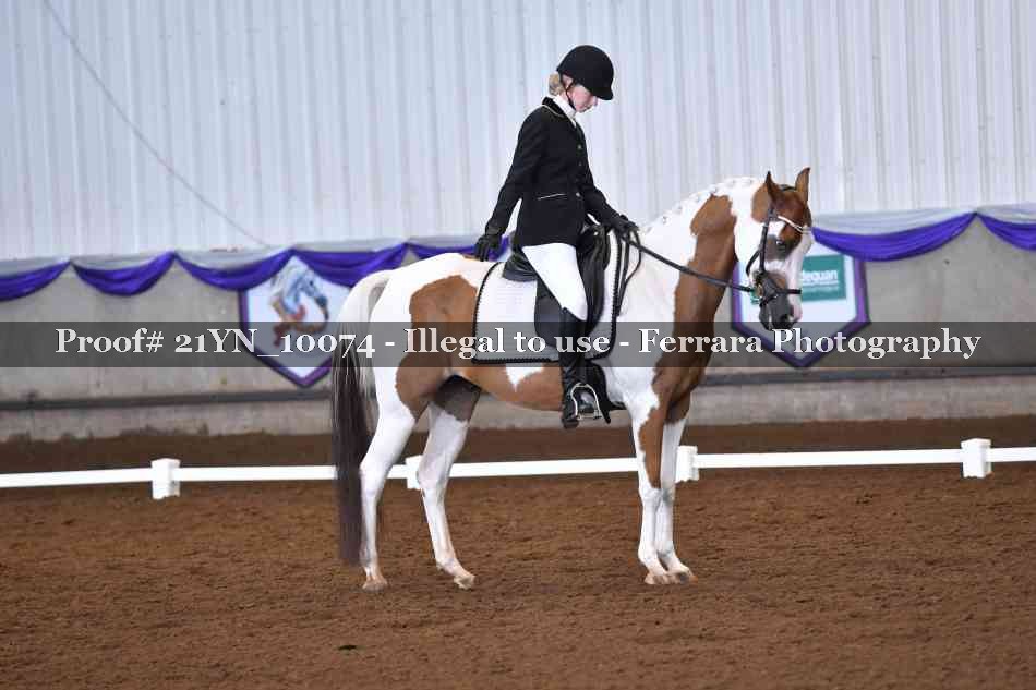 Proof Number 21YN_10074