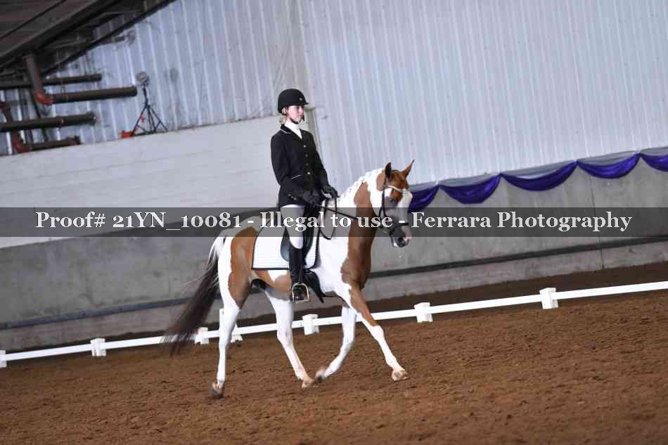 Proof Number 21YN_10081