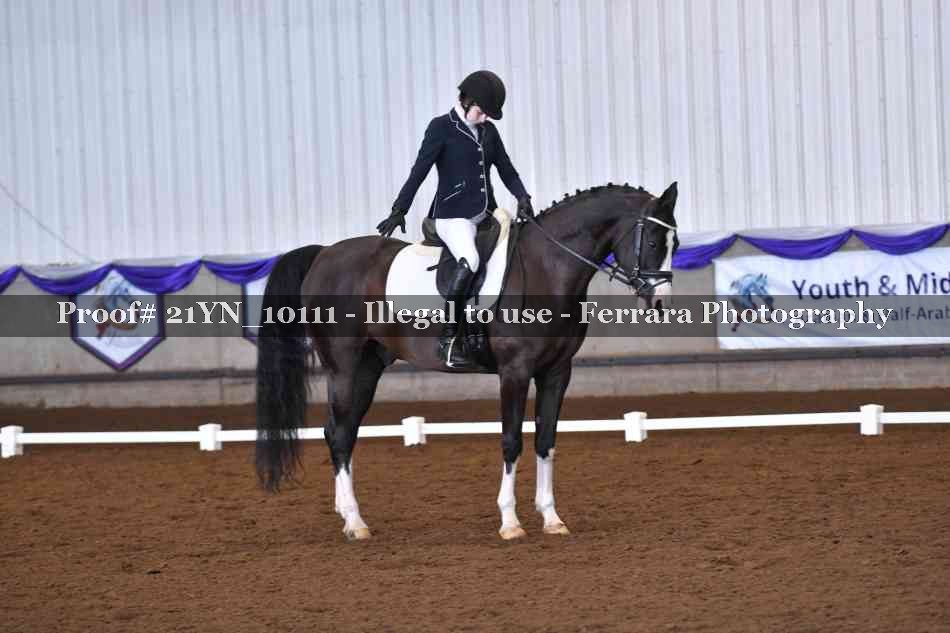 Proof Number 21YN_10111