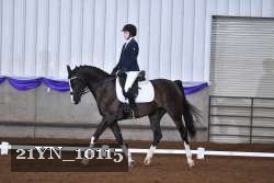 21YN_10115 thumbnail