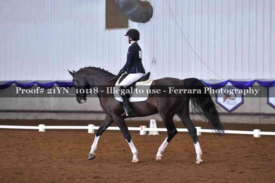 Proof Number 21YN_10118