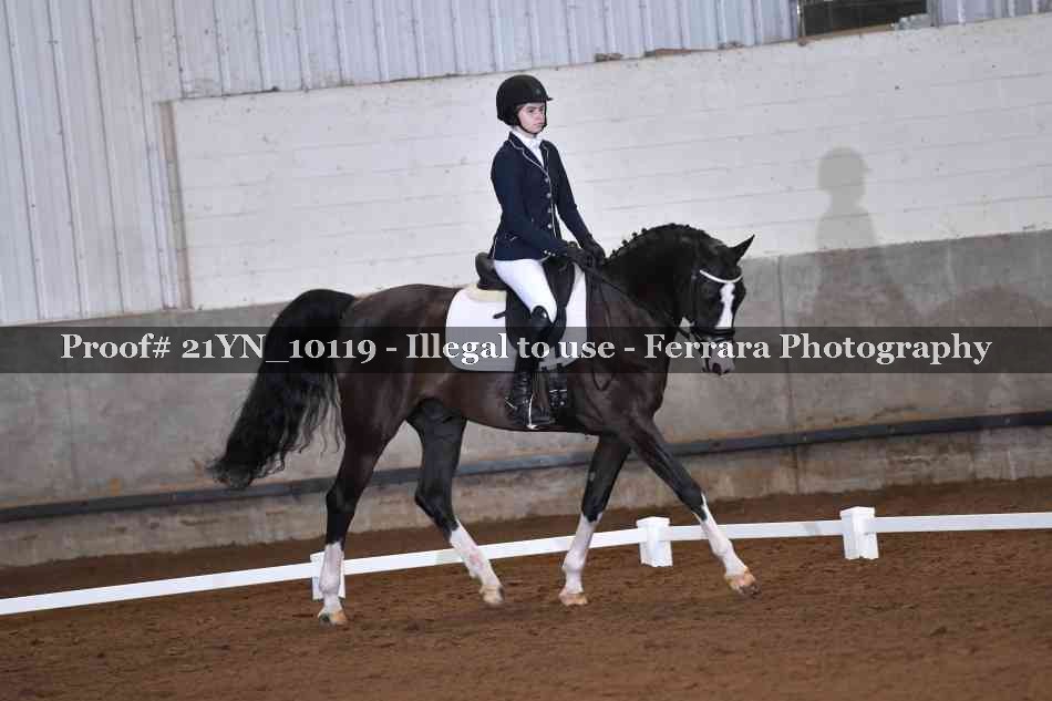 Proof Number 21YN_10119