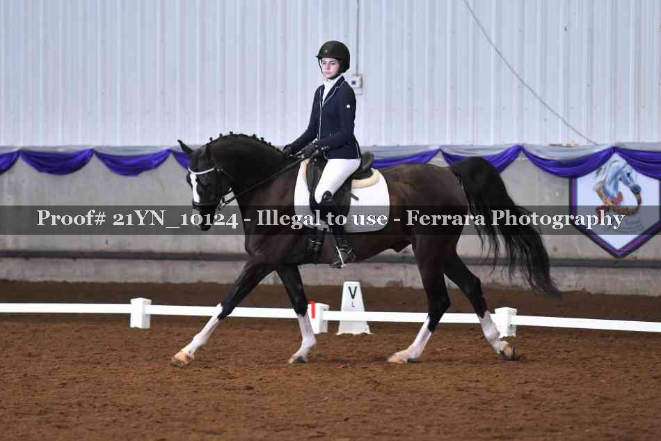 Proof Number 21YN_10124