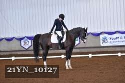 21YN_10127 thumbnail