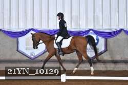 21YN_10129 thumbnail