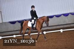 21YN_10130 thumbnail