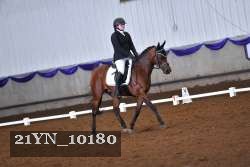 21YN_10180 thumbnail